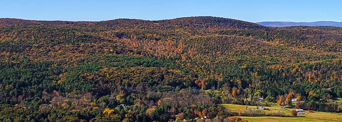 photography of a New York landscape